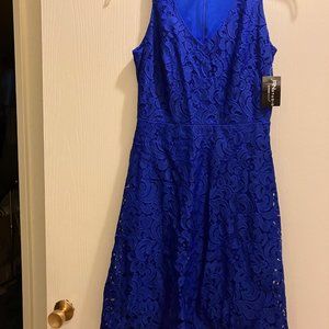 Blue Lace Sleeveless Dress